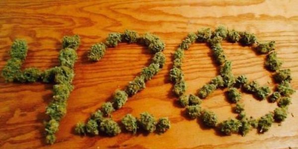 420-meaning-elite-daily